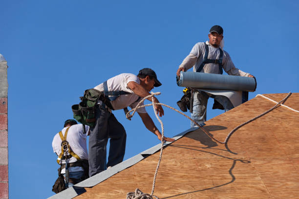 Best Roof Maintenance Services  in South Run, VA
