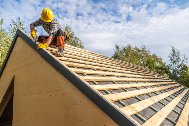 Best Roof Gutter Cleaning  in South Run, VA