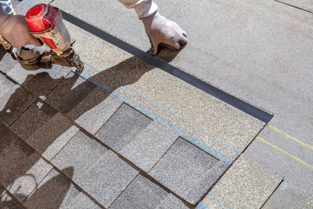 Best Roof Inspection Near Me  in South Run, VA