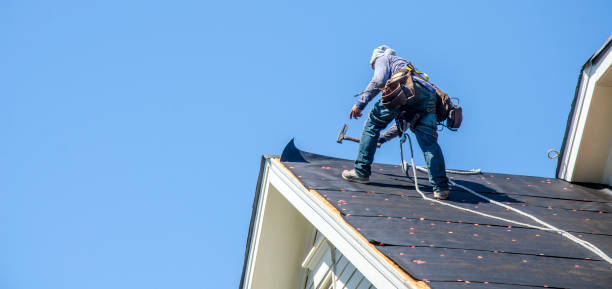 Best Metal Roofing Contractor  in South Run, VA